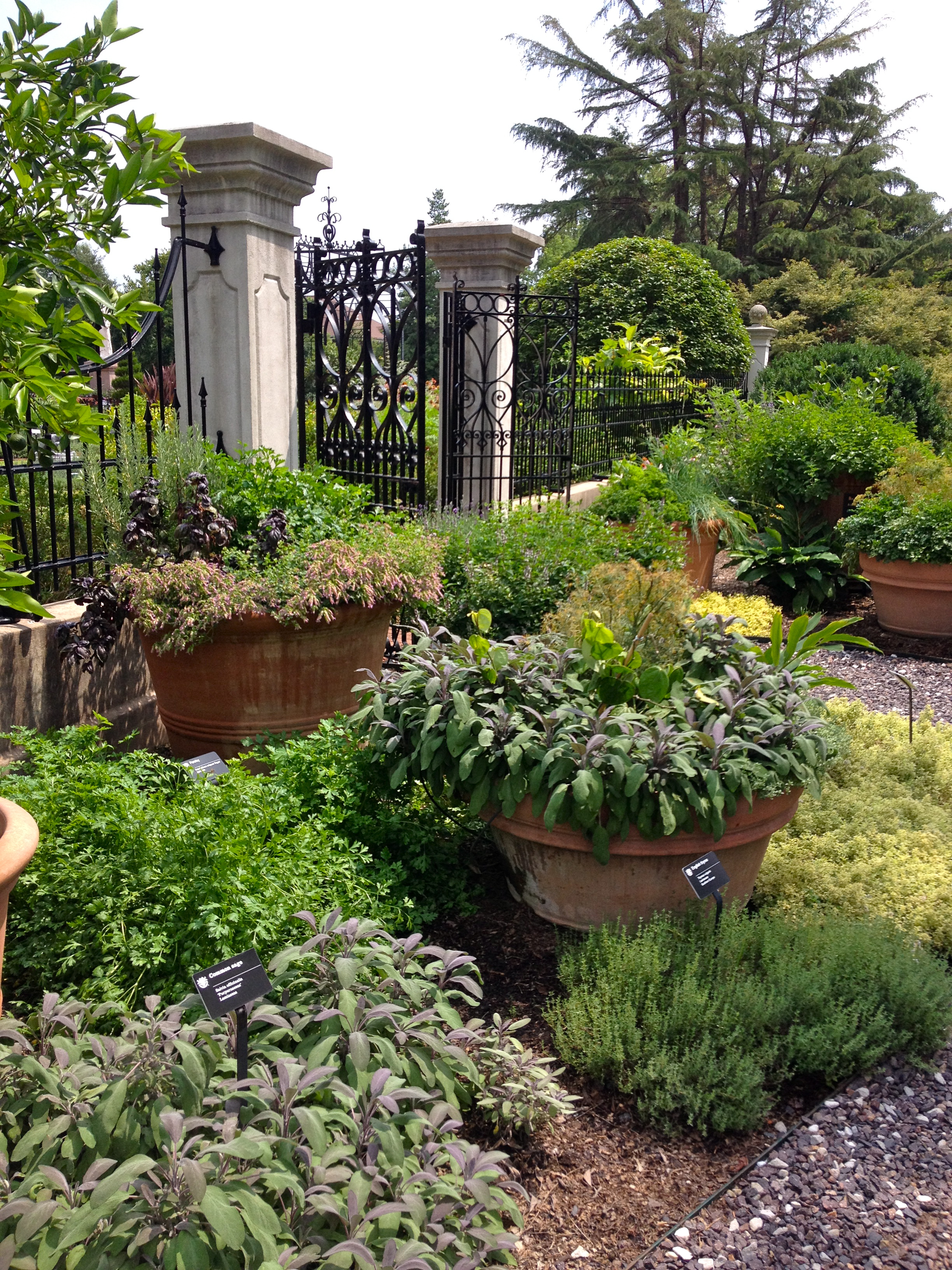 St Louis Herb Society