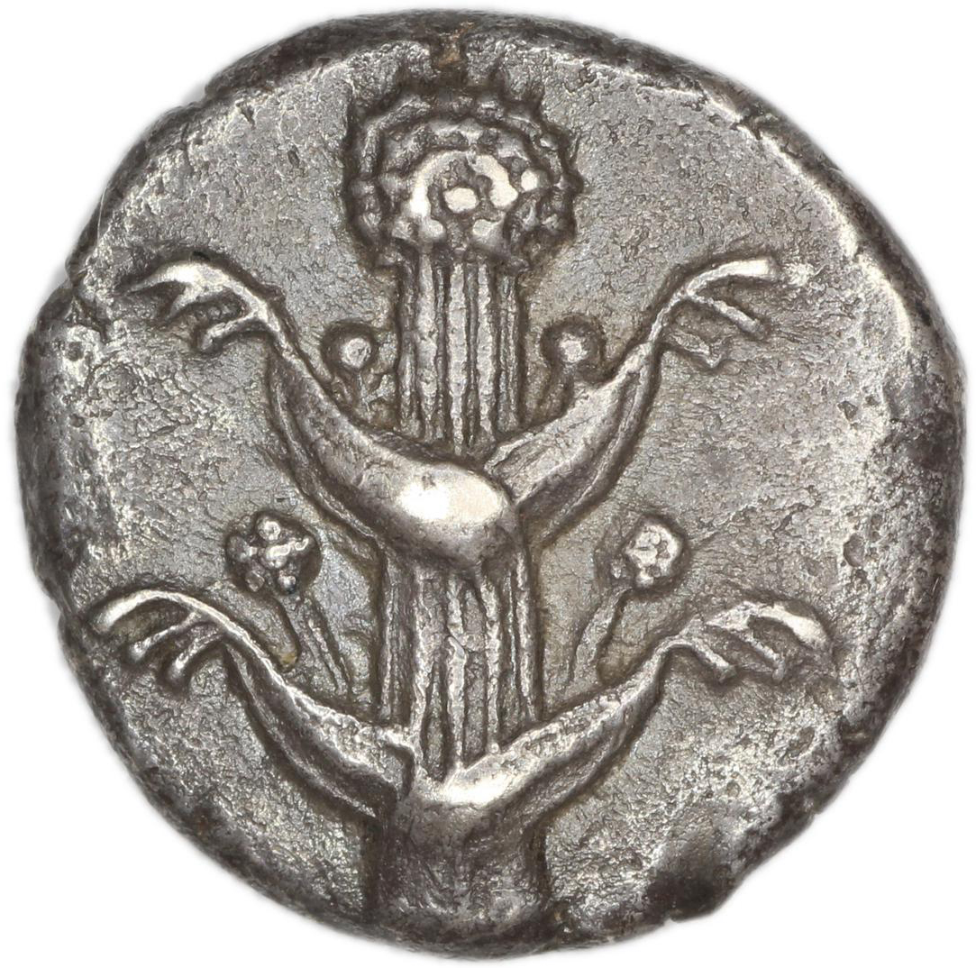 Silphium St Louis Herb Society